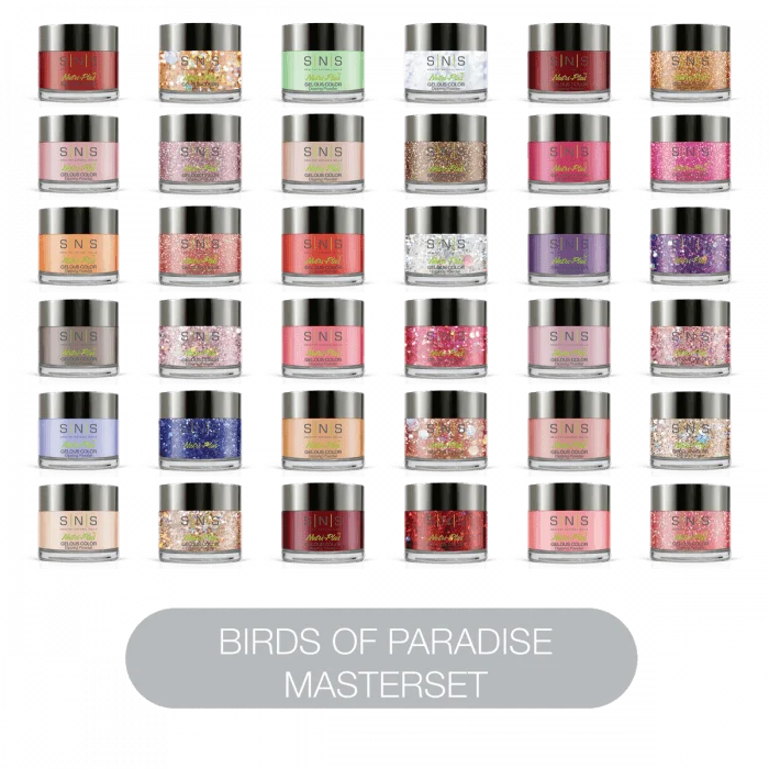 Eco-friendly nail polish-SNS Dip Powder Birds of Paradise Master Set